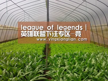 种植基地四