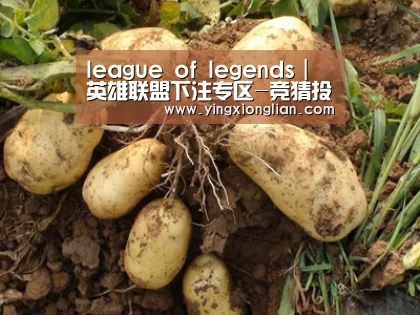 种植基地六