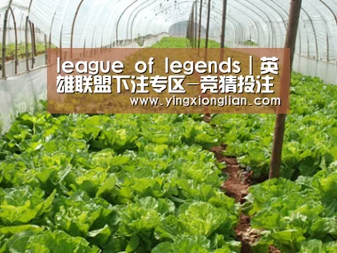 种植基地五