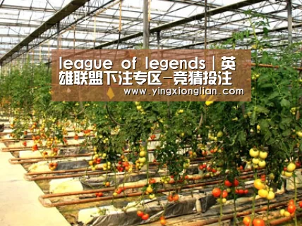 种植基地二(图1)