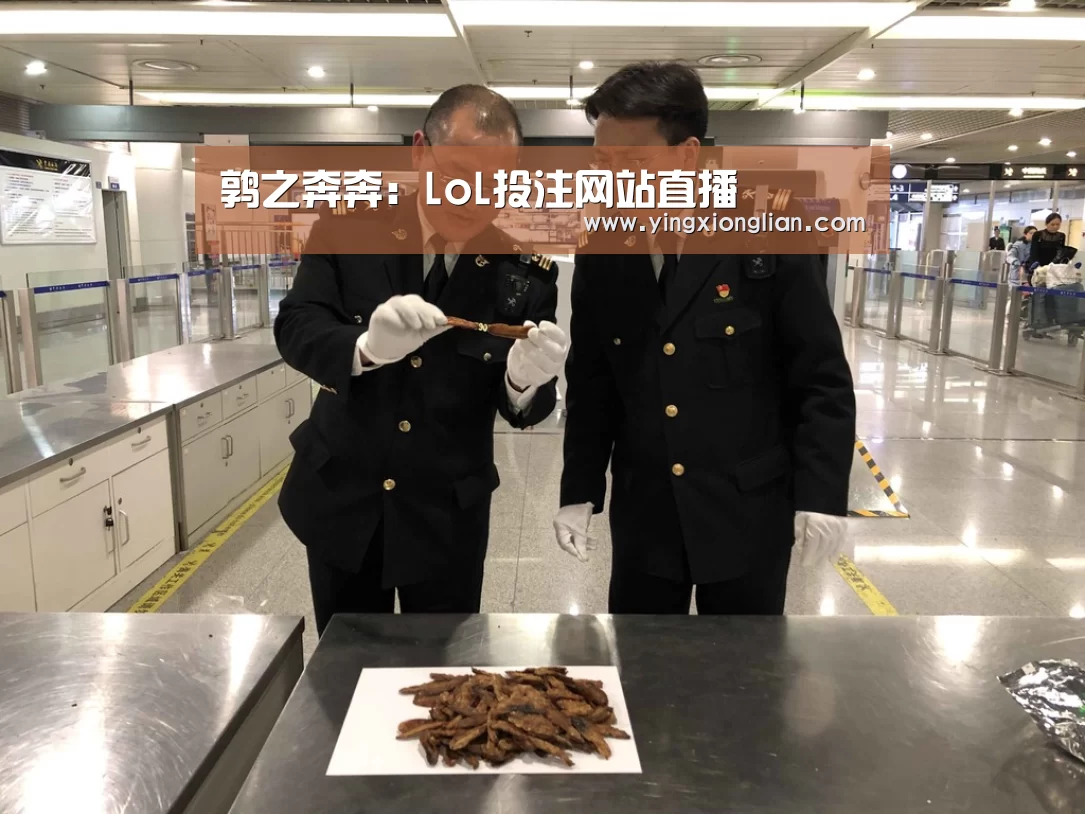 LoL投注网站 | 2026年最佳英雄联盟投注网站