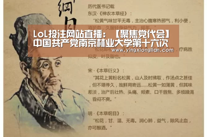 LoL投注网站 | 2026年最佳英雄联盟投注网站