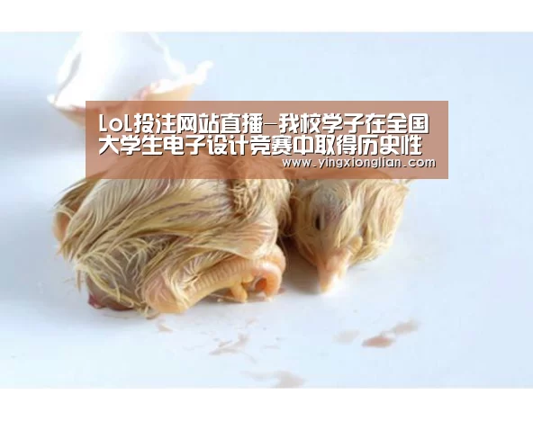 2026年最佳英雄联盟投注网站