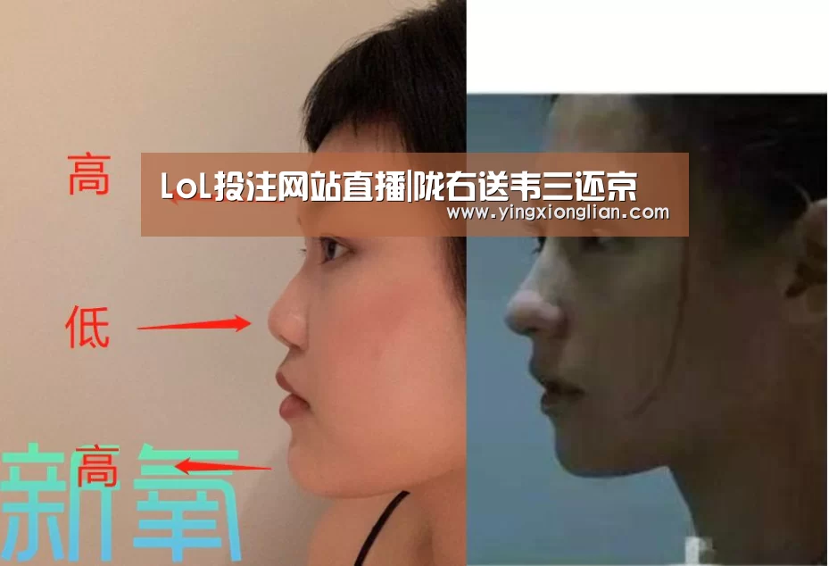 2026年最佳英雄联盟投注网站