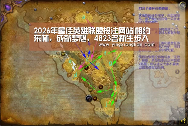 LoL投注网站官网