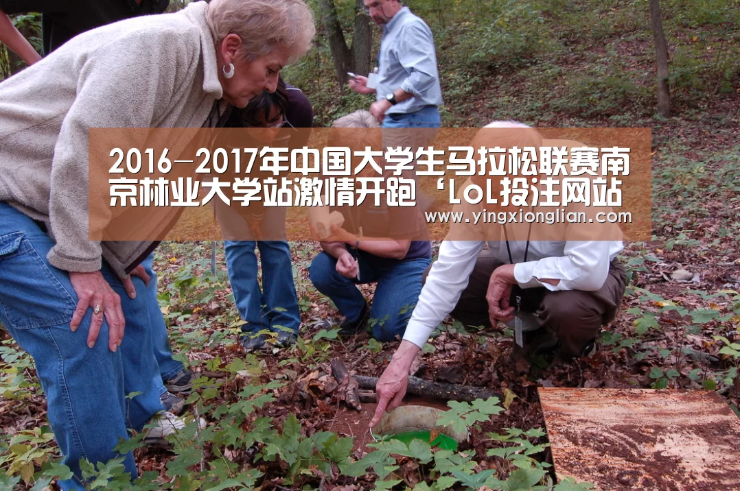2026年最佳英雄联盟投注网站