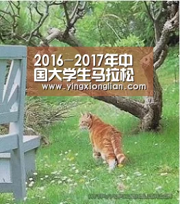 LoL投注网站官网