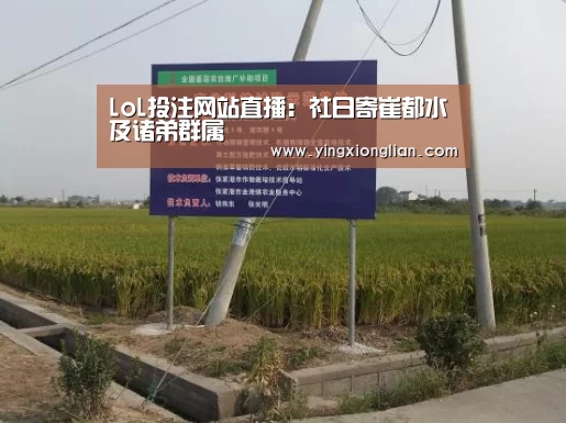 LoL投注网站 | 2026年最佳英雄联盟投注网站